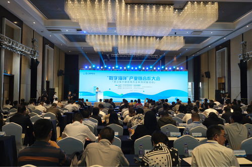 數字海洋 產業鏈合作大會在舟山舉辦